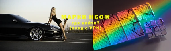 СК Бердск