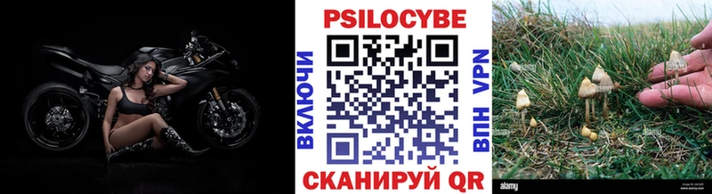 Галлюциногенные грибы мухоморы  ссылка на мегу рабочий сайт  Суздаль 